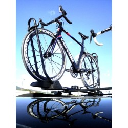 Inter Pack Lotos Uchwyt rowerowy na dach Montowanie za oba koła