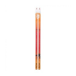 Asnes Cecilie Skog BC