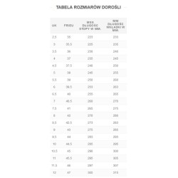 ALPINA BC ALASKA buty BackCountry