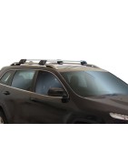 Samochody z relingami tradycyjnymi